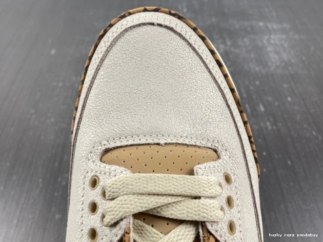 Rep Husky Jordan Palomino Air CT8532-102 3 0729